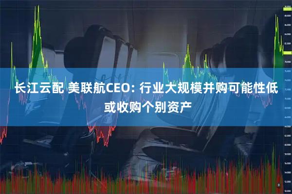 长江云配 美联航CEO: 行业大规模并购可能性低 或收购个别资产